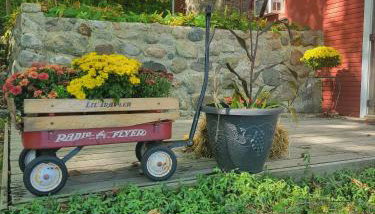 Lakefront Fun on Papakeechie | Kayaks & More! - Foto 5, Other