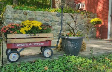 Lakefront Fun on Papakeechie | Kayaks & More! - Foto 5