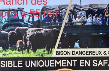 Grand appartement au cœur de la région alsacienne - Photo 78