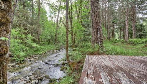 Madrone Hideout - decked out bus! - Foto 4