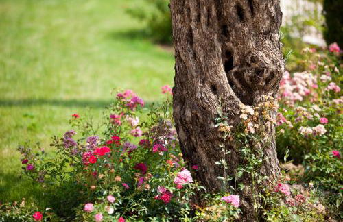 Antico Casale Bergamini - Foto 20