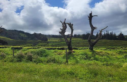 Casa das Azorinas - Foto 44