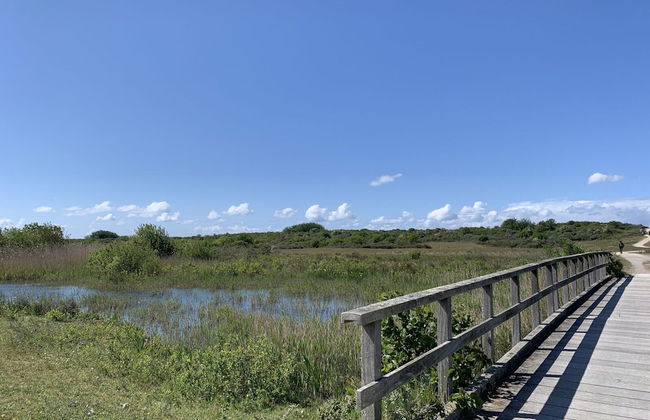 Detached Single Story Holiday Home Near the Sea - Photo 27