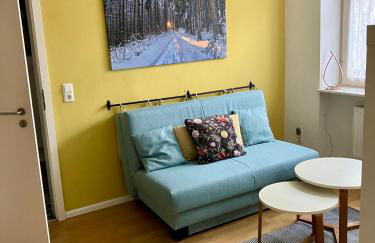 Barocke Stadtvilla Ophelia nahe Europapark 45qm 1,5 Zi Studio - Foto 4