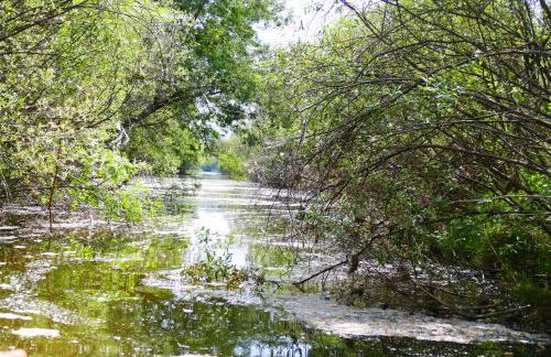 Herdade Clube Tiro Monfortinho - Foto 49