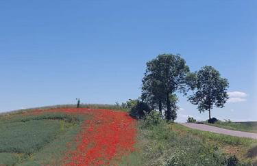 Dom Podróżnika -aktywne wakacje - Foto 45