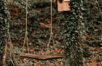 Gîtes du Bulz, en pleine forêt proche de la mer - Photo 8