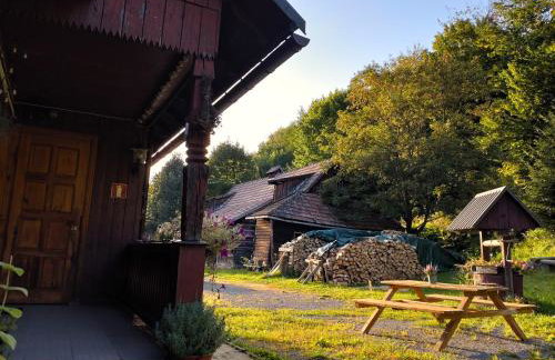 Ostoja Mików - Foto 15