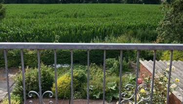 Ferienwohnung Berta 25508 - Foto 4