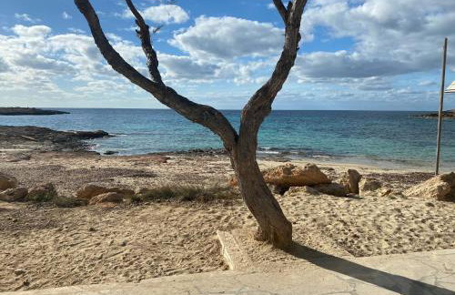 Casa Estrella de Mar - Foto 21