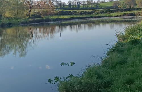 Biobagnolese Agriturismo - Foto 54