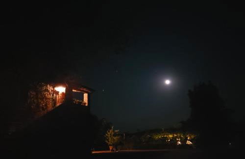 Sport Bikes and Nature - Foto 14