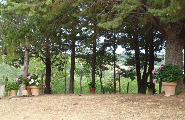 Belvilla by OYO Baita del Por Azzolo - Foto 26