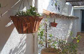 Casa Rural en San Carlos del Valle- Doña Gumersinda - Foto 43
