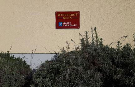 Winzerhof Senn - Foto 34