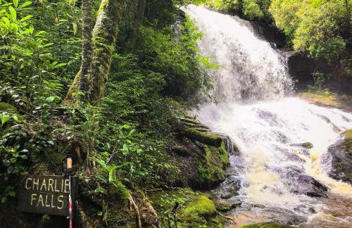 Hike, Ski and More! Pet-Friendly Home in Glenville - Foto 40