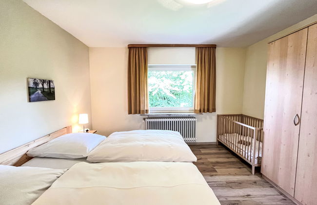 Vergissmeinnicht - Foto 19