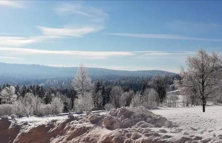 Edelstein Ferienwohnung Philippsreut - Foto 55