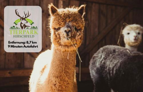 Ferienwohnung Plohn by Immo-Franzi - Foto 16