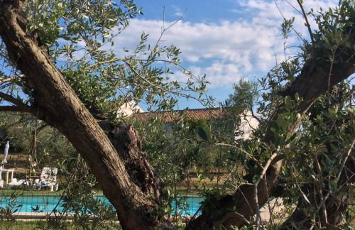 Tenuta Don Ballore Country Resort - Foto 29