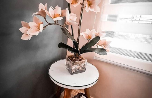 Overlooking - Foto 11