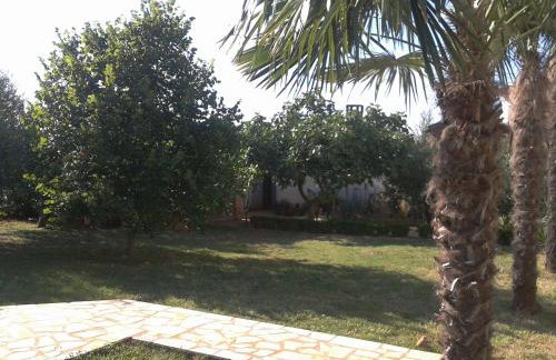 Apartments Marica - Foto 53