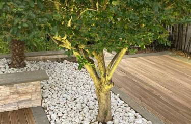 The Bamboo villa - Fraschetti Daniele - Foto 7