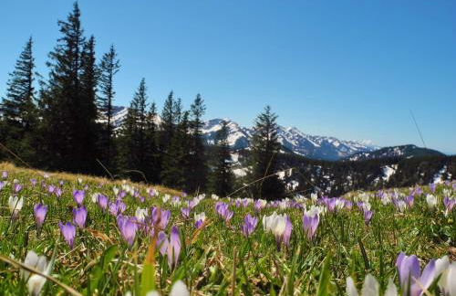 Haus Regina - Foto 15