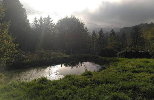 La chouette dort le gîte du retour à la source - Photo 22