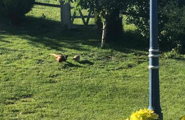 UPSIDE DOWN HOUSE - Sleeps up to 6 Guests - Great for Family and Friends Gatherings,Corporate events ,Near Sherwood Forest at Fairview Farm in Nottingham set in 88 acres - Foto 18