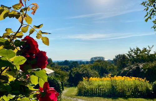 Ferienhaus Kuschel-Muschel - Photo 28