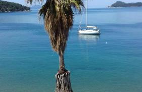 The Little Prince - Photo 40