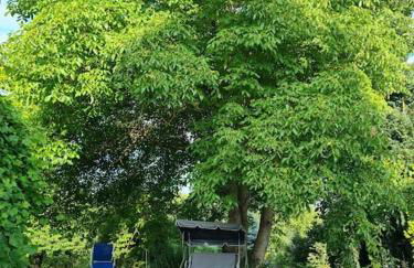 Ferienhaus Hildegard & Horst - Urlaub im Herzen des Fichtelgebirge - Foto 23