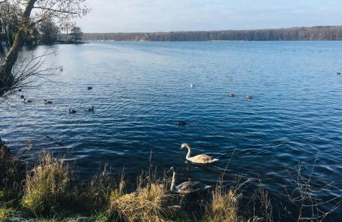 An der Glocke - Foto 20
