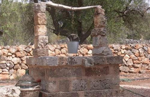 Macchia Salentina - Foto 71