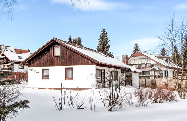 Vergissmeinnicht - Foto 2