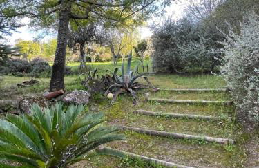 Casa do Reguengo (New!) - Foto 23