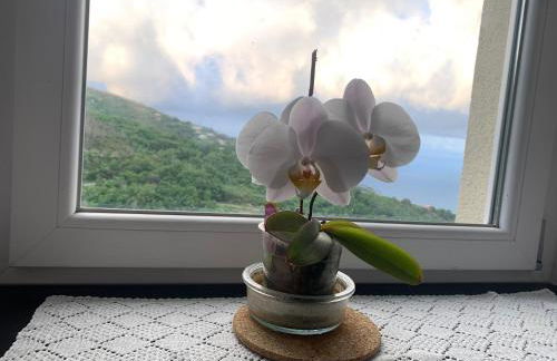 Da Mafalda - Foto 24