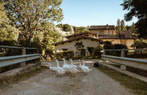 Agriturismo Le Radici - Foto 22