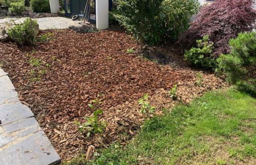 Cottage Tea Mamm , écrin de verdure et son jardin de thé, 3 étoiles - Foto 30