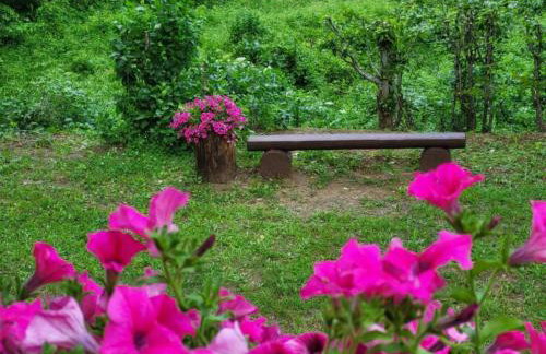 Holiday Home with Three Bedrooms and Garden - Photo 33