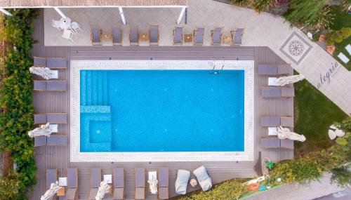 Alegria Suites - Photo 4