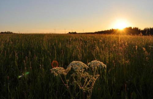 Charming Apartment, Harz Region - Foto 42