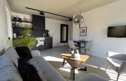 M Apartment Loft - stylish minimalisitisch außergewöhnlich - Foto 3