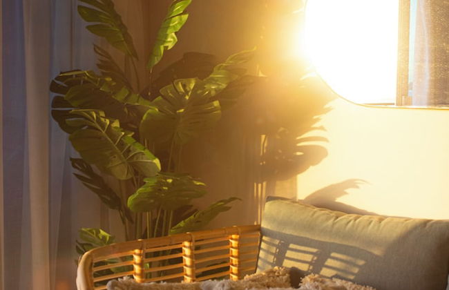 Nabeel Homes Boutique Hotel - Foto 34