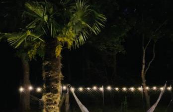 Palma de Masuria Ekskluzywny Dom na wyłączność - Foto 35