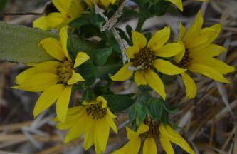 Podere Del Gesso - Foto 12