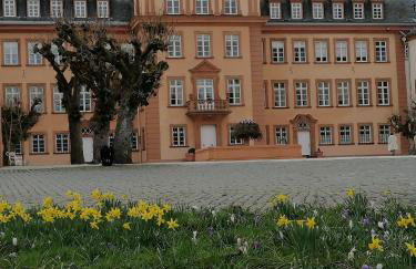 Ferienwohnung am Schloßpark - Foto 14