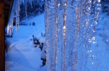 Haus Schönek - Foto 3