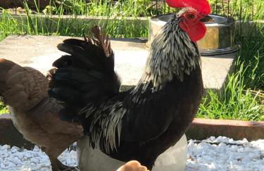 Ferienwohnung Landart - Foto 23